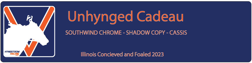 Unhynged Cadeau
