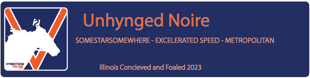 Unhynged Noire