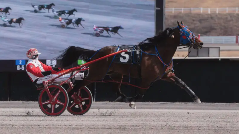 Warrawee Veloce Wins at The Meadows!