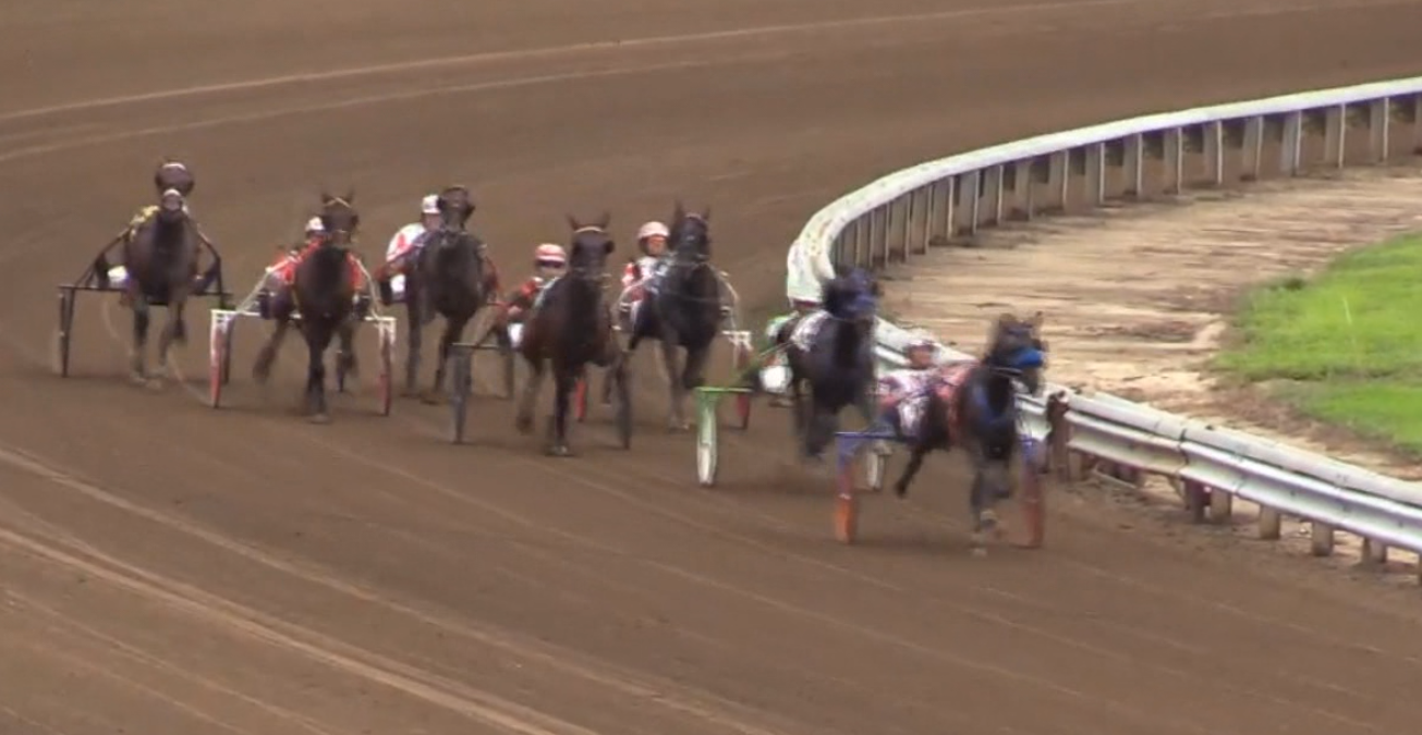 Unhynged Cadeau wins at Springfield! 4 for 4 Lifetime!