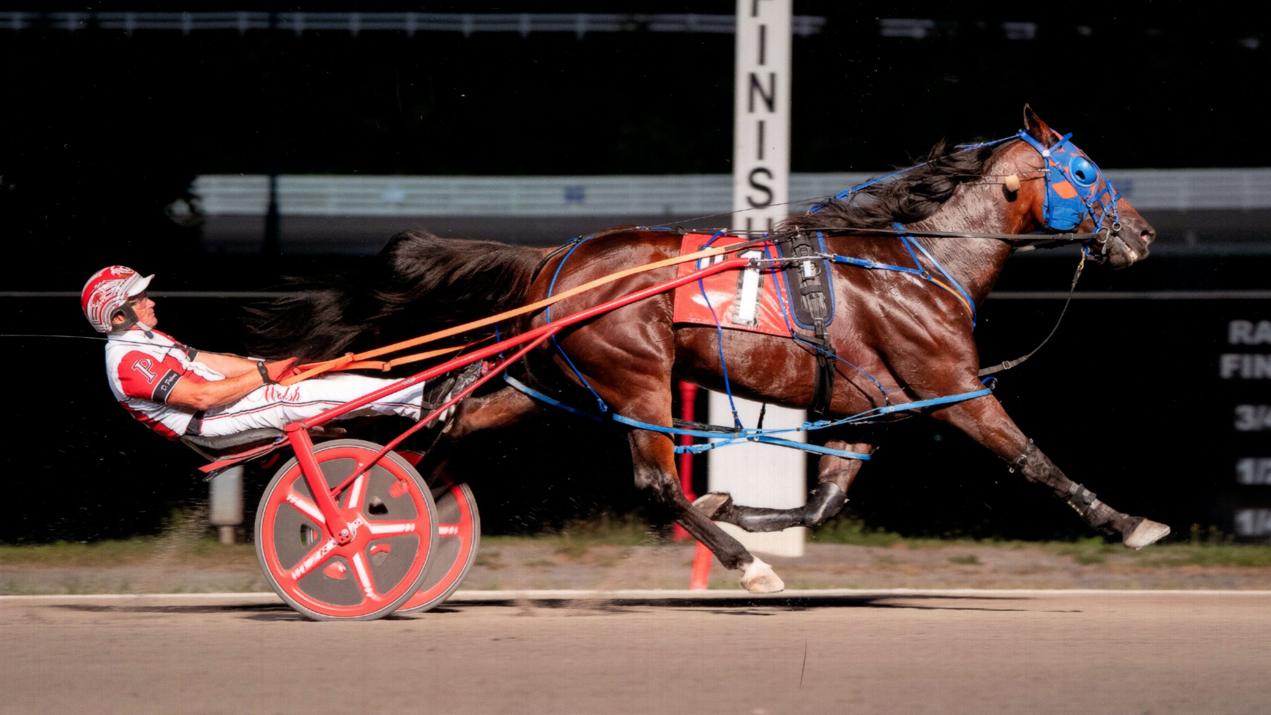 Warrawee Veloce wins at The Meadows!