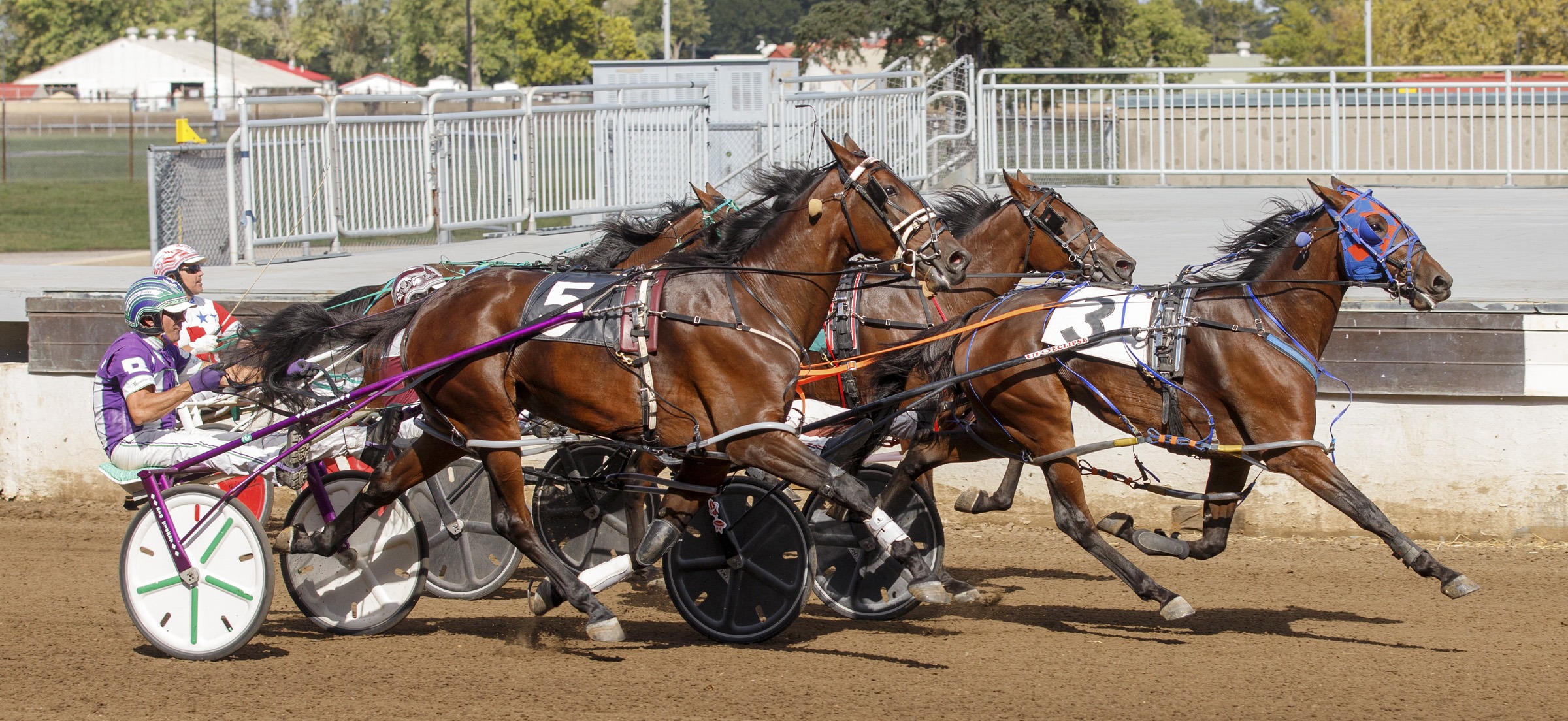 Unhynged Illini wins Violet Division at Springfield!