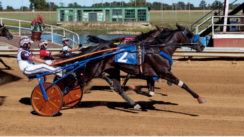 Unhynged Cadeau wins at Duquoin in the “First Lady’s Cup”