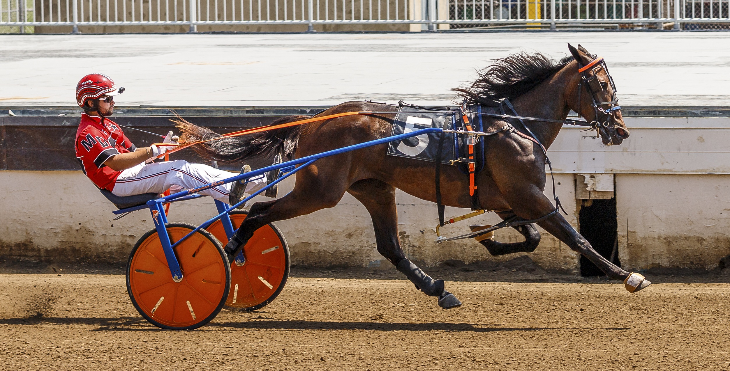 Unhynged Adieu breaks her maiden in her very first start!